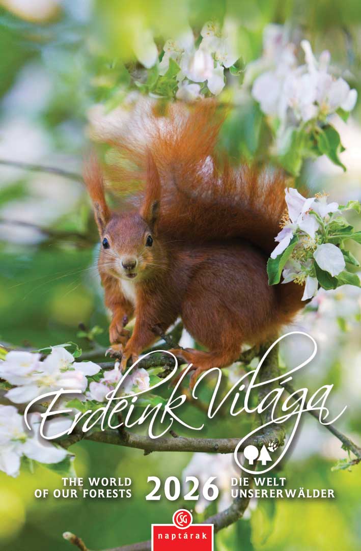 Napt�r 2026: Erdeink vil�ga napt�r