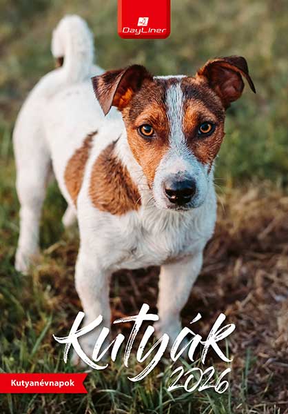 Napt�r 2026: Kuty�k falinapt�r