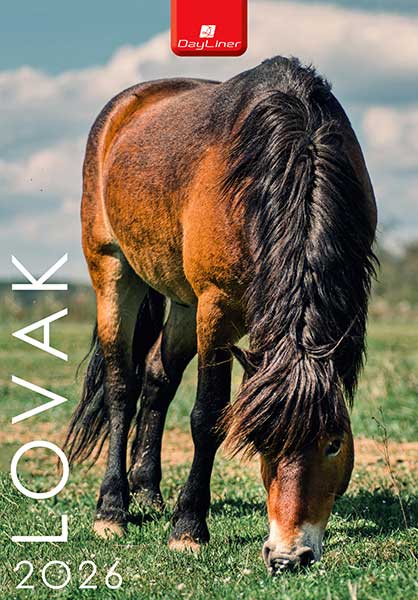Napt�r 2026: Horses (Lovak) falinapt�r